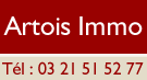 Artois immo