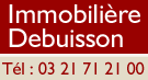Immobiliere de Buisson