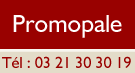 Promopale