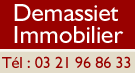 Demassier Immobilier